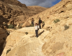 Wadi Hatira 2015图片号8