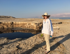 死海，以色列2016年图片编号10