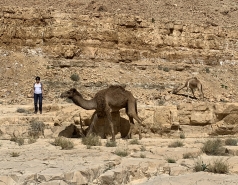 Wadi Heimar 2019图片编号1