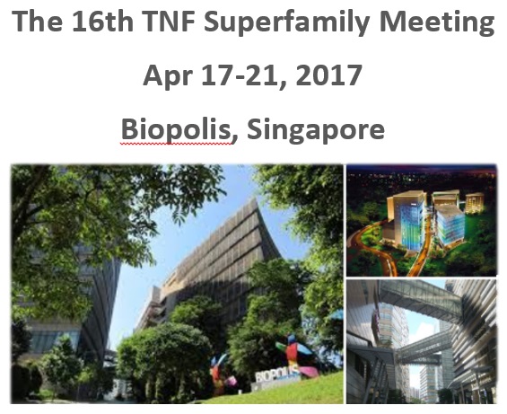 第十六届TNF超级家族会议的图像