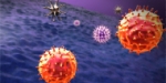 疾病中B细胞存活的控制